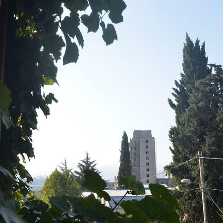 Alex'S Cosy Guesthouse Tbilisi Ngoại thất bức ảnh