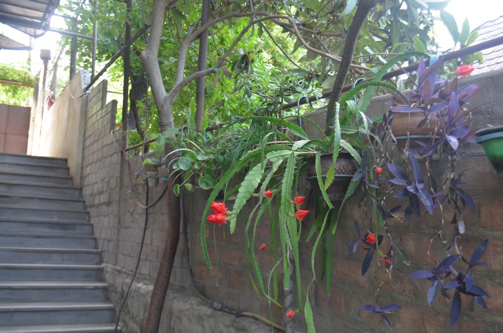 Alex'S Cosy Guesthouse Tbilisi Ngoại thất bức ảnh