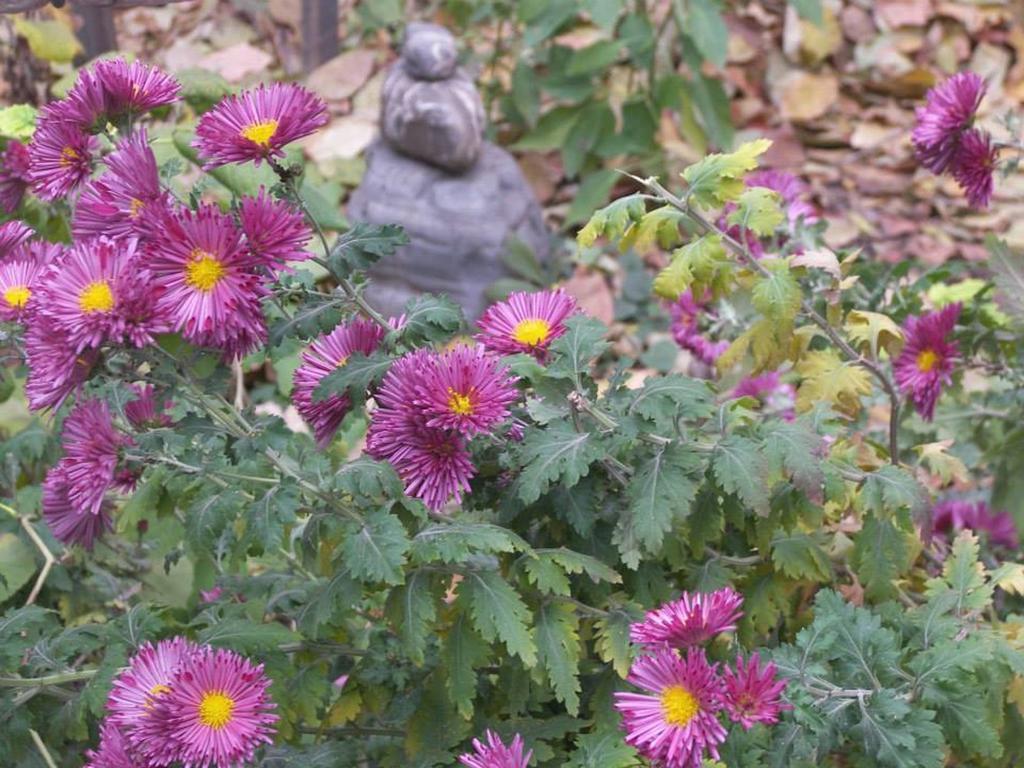 Alex'S Cosy Guesthouse Tbilisi Phòng bức ảnh