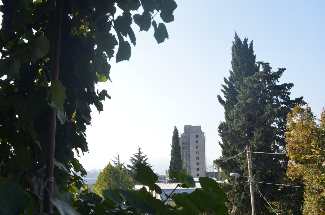 Alex'S Cosy Guesthouse Tbilisi Ngoại thất bức ảnh
